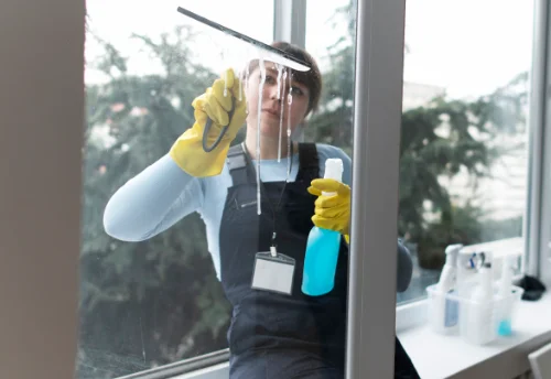 Nettoyage de vitres intérieures et extérieures à Levet